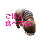 いおたん（個別スタンプ：28）