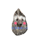ハリネズミのチーズさん（個別スタンプ：5）