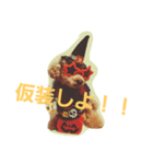Halloween Funky poodle（個別スタンプ：3）