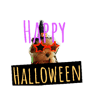 Halloween Funky poodle（個別スタンプ：6）