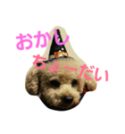 Halloween Funky poodle（個別スタンプ：7）