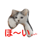 ねこのぷりんちゃんのお話（個別スタンプ：17）