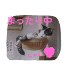 ねこのぷりんちゃんのお話（個別スタンプ：20）