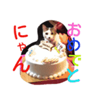 ねこのぷりんちゃんのお話（個別スタンプ：25）