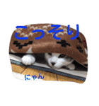 ねこのぷりんちゃんのお話（個別スタンプ：26）