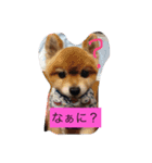 可愛いレオンやで（個別スタンプ：2）