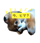 可愛いレオンやで（個別スタンプ：3）