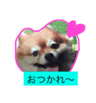 可愛いレオンやで（個別スタンプ：5）
