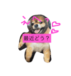 可愛いレオンやで（個別スタンプ：6）
