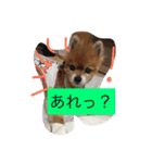 可愛いレオンやで（個別スタンプ：8）