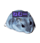 はむ✩（個別スタンプ：2）