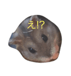 はむ✩（個別スタンプ：3）