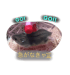 はむ✩（個別スタンプ：7）