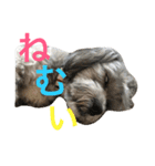 tono＆waka（個別スタンプ：1）