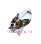 tono＆waka（個別スタンプ：3）