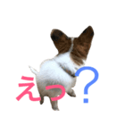 tono＆waka（個別スタンプ：8）