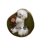 もふもふビションのろでしゃん（個別スタンプ：7）