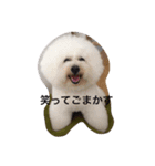 もふもふビションのろでしゃん（個別スタンプ：8）