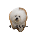 もふもふビションのろでしゃん（個別スタンプ：13）