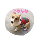 コギ隊パトロール（個別スタンプ：13）