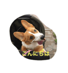 コギ隊パトロール（個別スタンプ：15）
