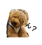 dogs of my house.（個別スタンプ：2）