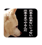 ひーたんすたんぷ（個別スタンプ：8）