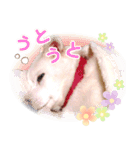 ひーたんすたんぷ（個別スタンプ：13）