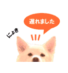 ひーたんすたんぷ（個別スタンプ：21）