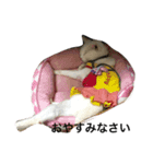 Max Maya（個別スタンプ：3）