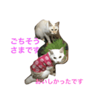 Max Maya（個別スタンプ：12）