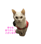 Max Maya（個別スタンプ：13）