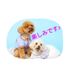 くるみとナッツ 2（個別スタンプ：2）