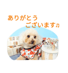 くるみとナッツ 2（個別スタンプ：5）