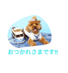 くるみとナッツ 2（個別スタンプ：7）