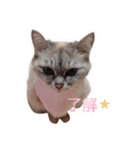ラム's stamp（個別スタンプ：10）