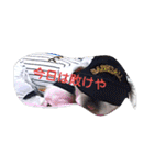 ペキニーズもっちぃ（個別スタンプ：25）