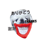 ペキニーズもっちぃ（個別スタンプ：38）