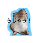 にかのスタンプ4（個別スタンプ：14）