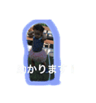 にかのスタンプ4（個別スタンプ：21）