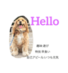 イケメン犬「リオ」のつぶやき（個別スタンプ：2）