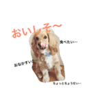 イケメン犬「リオ」のつぶやき（個別スタンプ：7）