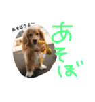 イケメン犬「リオ」のつぶやき（個別スタンプ：8）