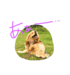 イケメン犬「リオ」のつぶやき（個別スタンプ：9）