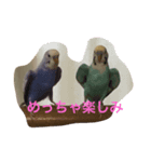 とりさん関西弁（個別スタンプ：6）