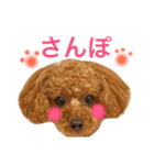 MONAKA's LIFE（個別スタンプ：1）