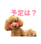 MONAKA's LIFE（個別スタンプ：6）