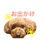 MONAKA's LIFE（個別スタンプ：7）