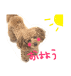 MONAKA's LIFE（個別スタンプ：15）