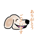 雑な絵でも使ってくれる人用スタンプ（個別スタンプ：4）